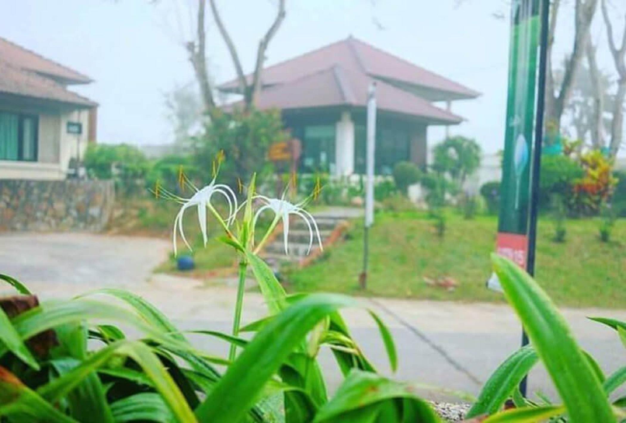Pattaya Country Club & Resort Ban Pong  Buitenkant foto